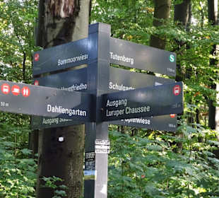 Wegweiser im Altonaer Volkspark