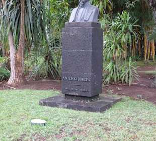 Büste von Antonio Borges