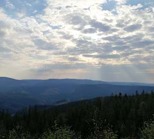 Kickelhahn