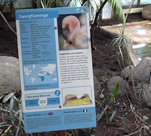 Zoologischer Stadtgarten