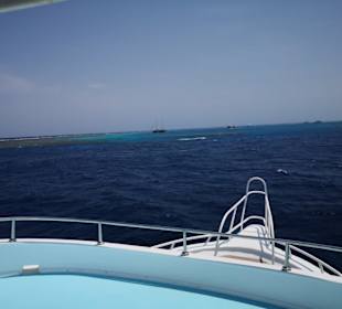 Das helle ist das Sataya Riff