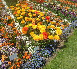 Botanischer Garten München