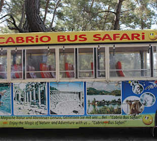 "Cabrio"