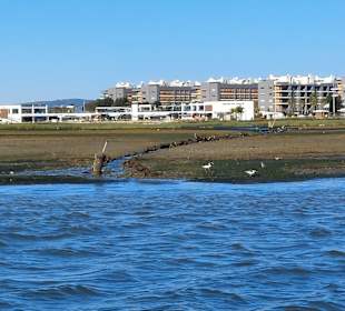 Bootstour Ria Formosa