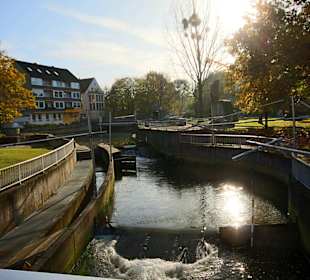 Mühlengraben an der Bischofsmühle