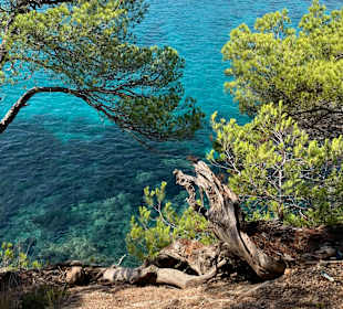 Strand Canyamel