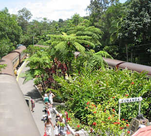 Kuranda
