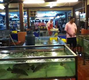 Das "Frischfisch-Depot" im EG