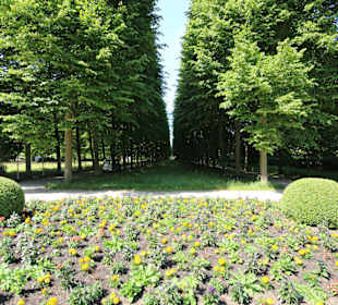 Blühende Beete