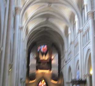 Orgel