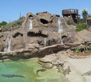 Schön angelegtes Krokodilbecken 