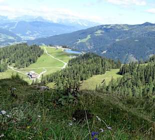 Natur Grafenberg