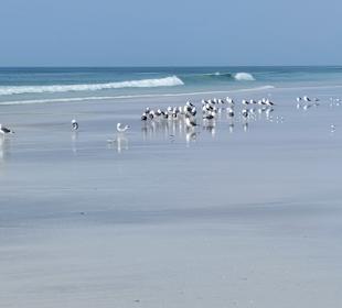 Strand Salalah