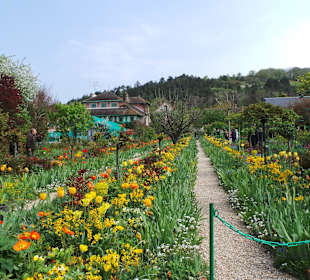 Clos Normand - ein Meer aus Tulpen