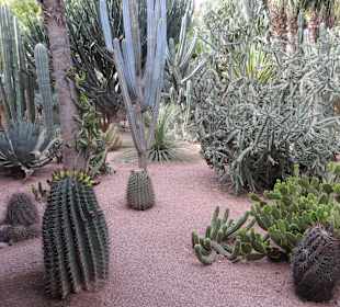 Eindrücke aus dem Jardin Majorelle Garten
