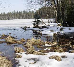 Glatzener Moor (Kladské rašeliny)