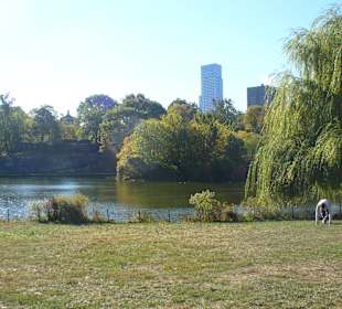 Im Central Park