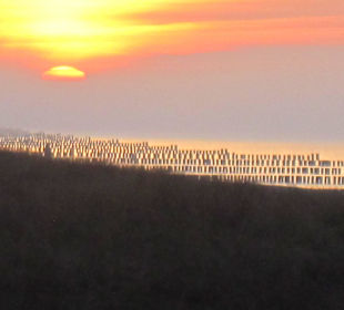 Wahnsinnssonnenuntergang 