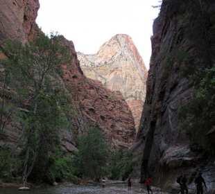Virgin River im Zion Canyon