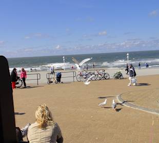 Blick vom Riffkieker