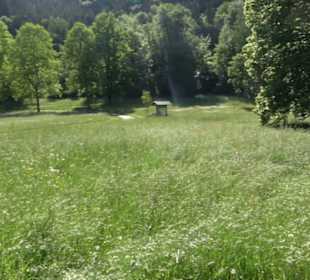 Kurpark Bad Niedernau
