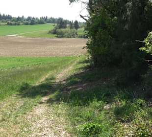 Premiumwanderweg Hochgehschätzt