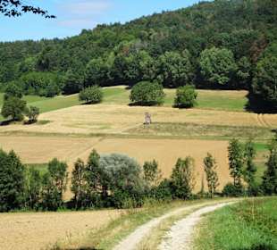 Der Wanderweg zur Steinernen Rinne