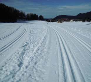 Loipen gut gespurt