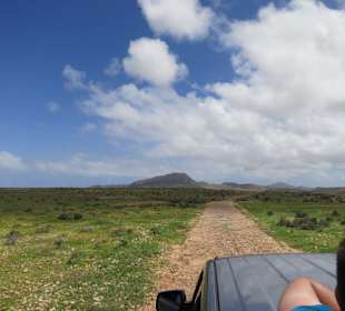 Boa Vista Tour