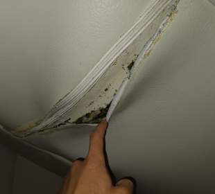 Für 2400 EU pro Woche