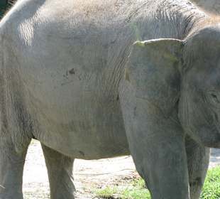 В зоопарке Бали