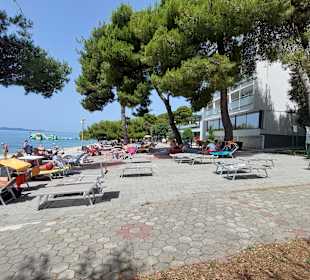 Strand Cizici