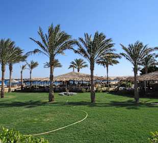 Ausflug nach Sharm el Naga