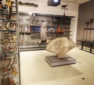 Rundgang durch das Schaumagazin des Focke Museums