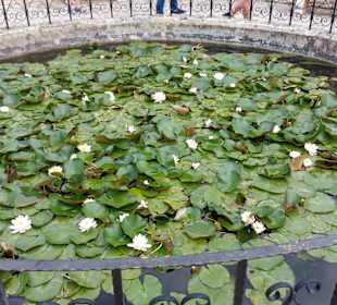 Umgebung + Botanischer Garten Baltschik + Schloss