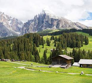 Aussicht Sommer Seiser Alm Lang- und Plattkofel