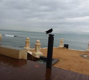 Colombo City Tour