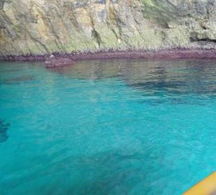 Jasknie Morskie Blue Grotto