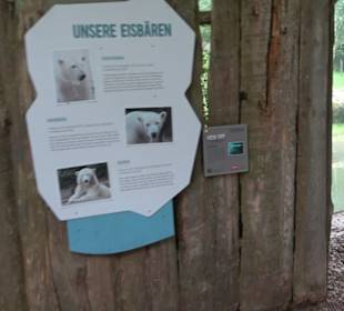 Tierpark Hellabrunn - Polarwelt