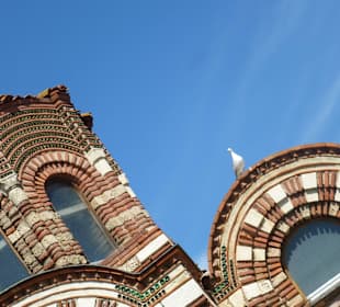 Nessebar - Immer da Tauben