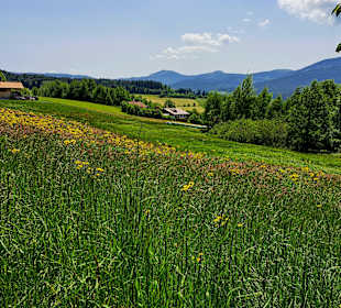 Wandern Lam