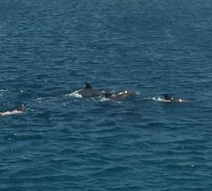 Super Schnorcheltripp 