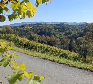 Blickrichtung Kreuzkogel