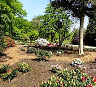 Impressionen vom Rundweg durch den Park