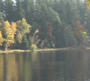 Windgfällweiher