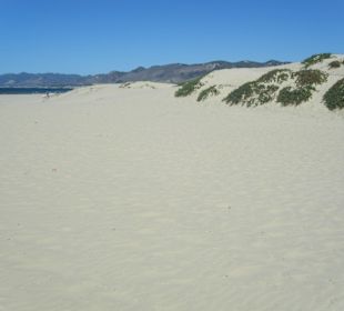 Strand Pismo Beach