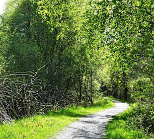 Eindrücke vom Rundweg um den Bederkesaer See 