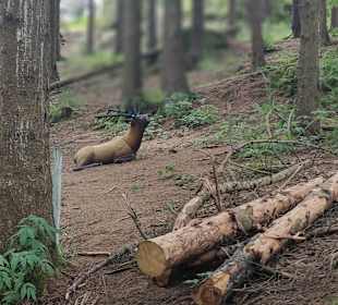 Freizeitanlage Dorfstetten