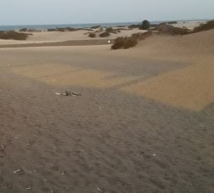 Strand Playa del Ingles