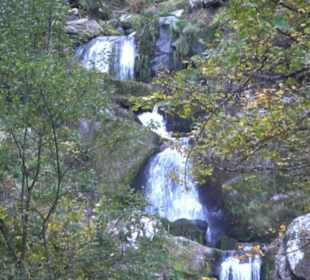 Triberger Wasserfälle